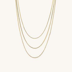 Mejuri Layered Necklace (NWOT)